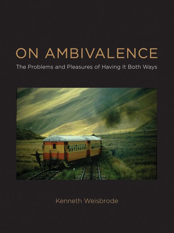 Produktbild: On Ambivalence