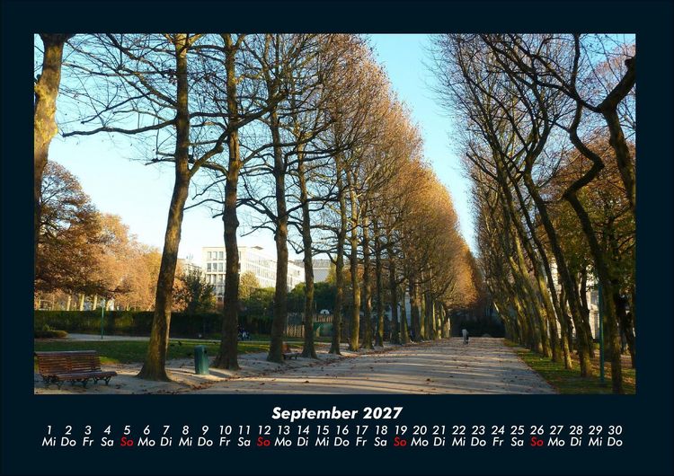 Produktbild: B&auml;ume 2027 Fotokalender DIN A4