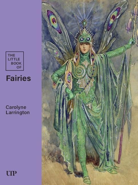 Produktbild: The Little Book of Fairies