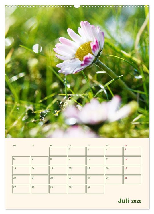 Produktbild: Vertr&auml;umte G&auml;nsebl&uuml;mchen (Wandkalender 2026 DIN A2 hoch), CALVENDO Monatskalender