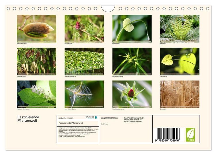 Produktbild: Faszinierende Pflanzenwelt (Wandkalender 2027 DIN A4 quer), CALVENDO Monatskalender