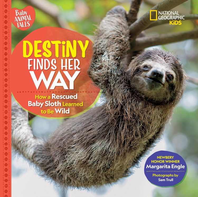 Produktbild: Destiny Finds Her Way