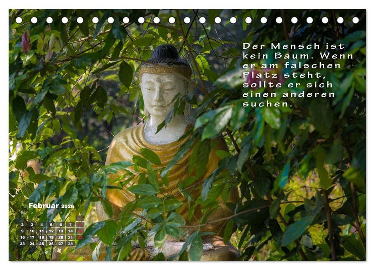 Produktbild: BUDDHAS WEISHEITEN - Balsam f&uuml;r die Seele (Tischkalender 2026 DIN A5 quer), CALVENDO Monatskalender