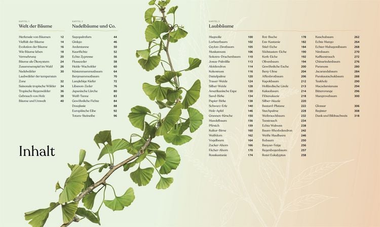 Produktbild: B&auml;ume - Eine Natur- und Kulturgeschichte