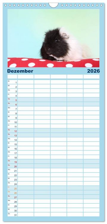 Produktbild: Familienplaner 2026 - Niedliche Meerschweinchen mit 5 Spalten (Wandkalender, 21 x 45 cm) CALVENDO