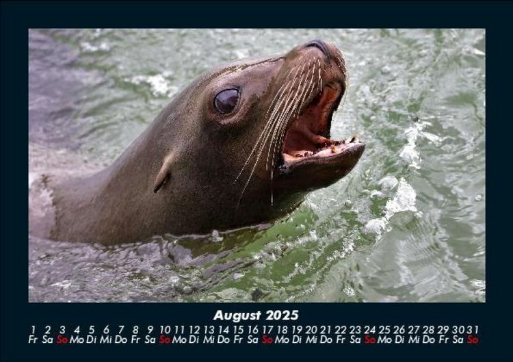 Produktbild: Der Tierkalender 2025 Fotokalender DIN A5