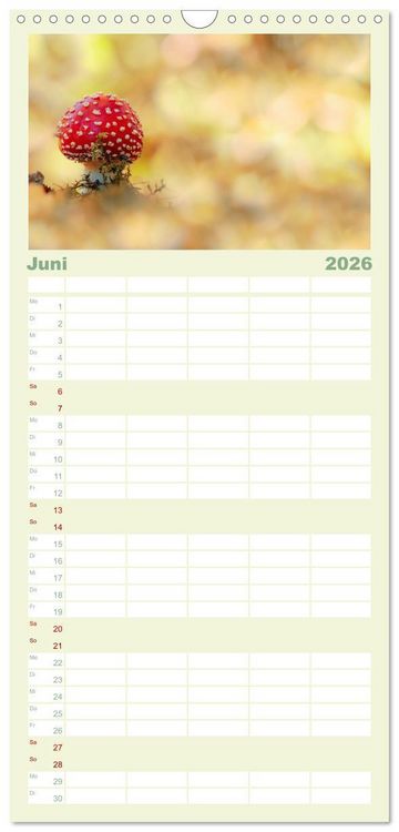 Produktbild: Familienplaner 2026 - Die Welt der Fliegenpilze mit 5 Spalten (Wandkalender, 21 x 45 cm) CALVENDO