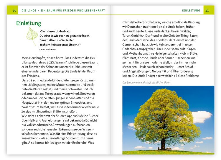 Produktbild: Die Linde &ndash; Baum der Heilung und Harmonie