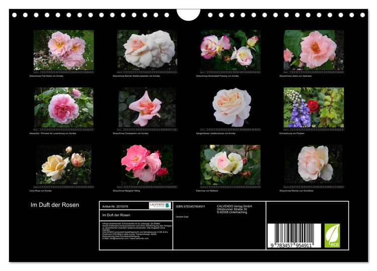 Produktbild: Im Duft der Rosen (Wandkalender 2026 DIN A4 quer), CALVENDO Monatskalender