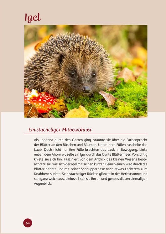 Produktbild: Kurzaktivierungen ohne Material. Last-Minute-Ideen f&uuml;r den Herbst