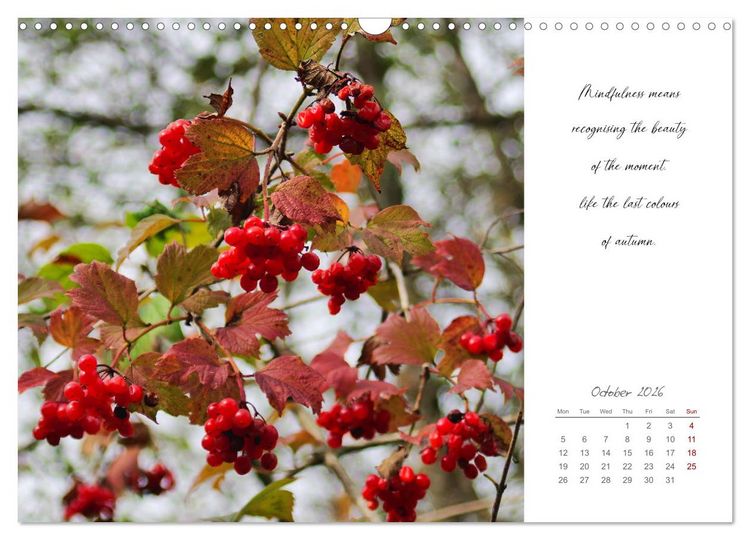 Produktbild: Golden breaks with mindfulness (Wall Calendar 2026 DIN A3 landscape), CALVENDO 12 Month Wall Calendar