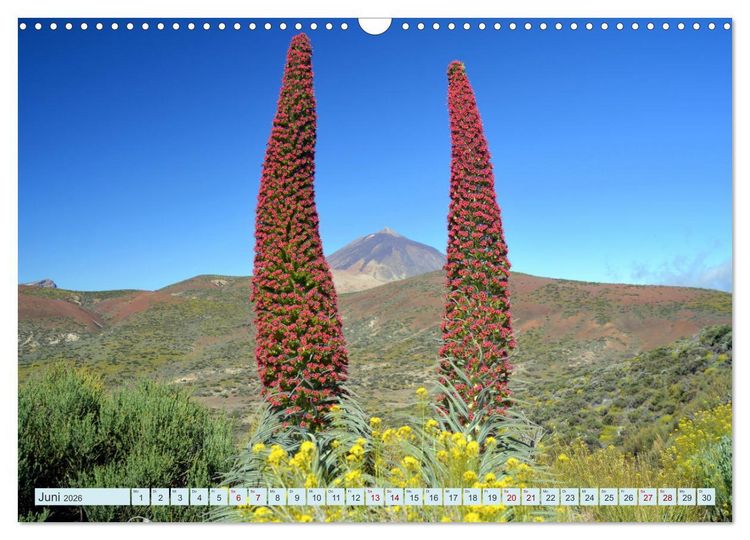 Produktbild: Teneriffa - Insel der Gl&uuml;ckseligen (Wandkalender 2026 DIN A3 quer), CALVENDO Monatskalender