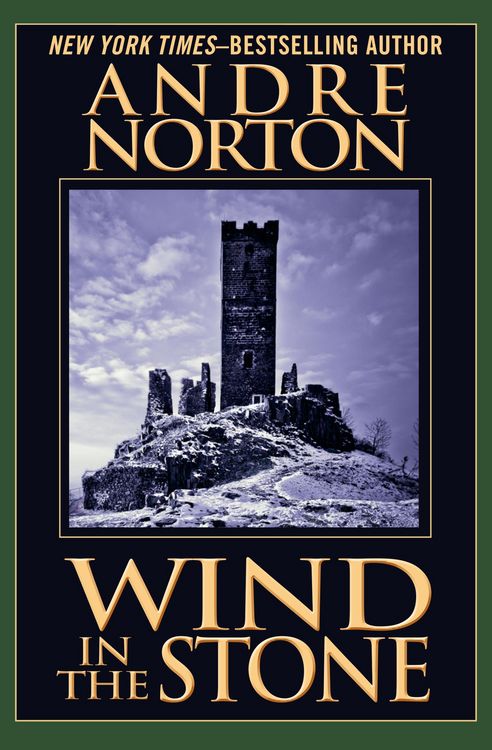 Produktbild: Wind in the Stone