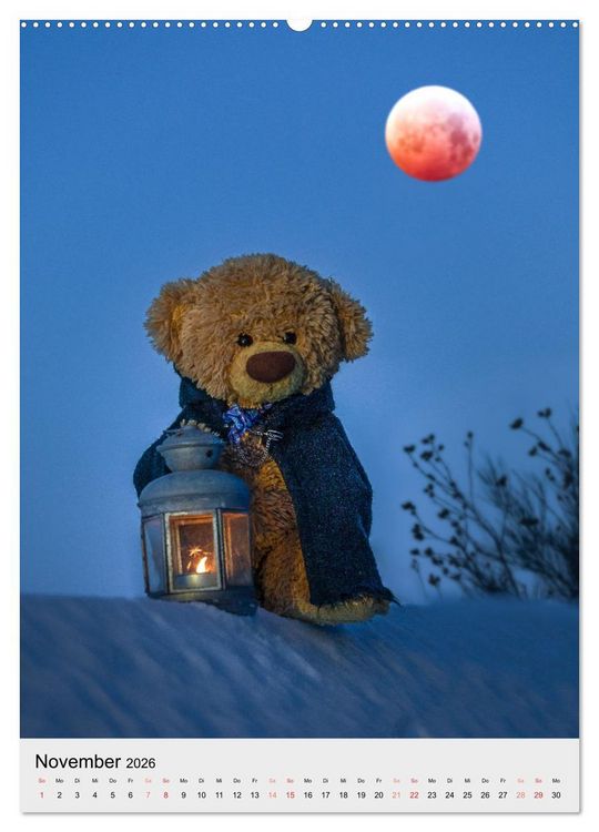 Produktbild: Travelling Teddy liebt es Bunt (Wandkalender 2026 DIN A2 hoch), CALVENDO Monatskalender