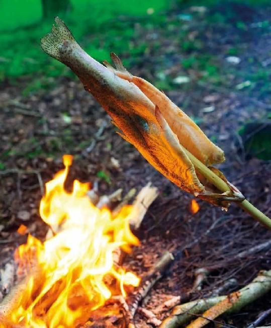 Produktbild: Koch drau&szlig;en! &Uuml;ber 100 Rezepte f&uuml;r jedes Wetter