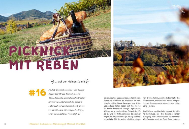 Produktbild: 52 kleine & gro&szlig;e Eskapaden in der Pfalz