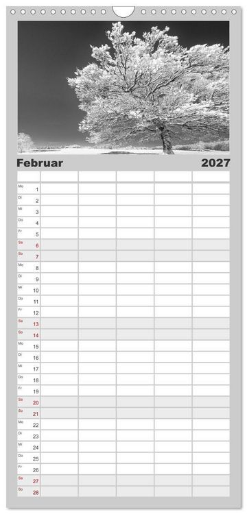 Produktbild: Familienplaner 2027 - Traumhafte Allg&auml;uer Alpen mit 5 Spalten (Wandkalender, 21 x 45 cm) CALVENDO