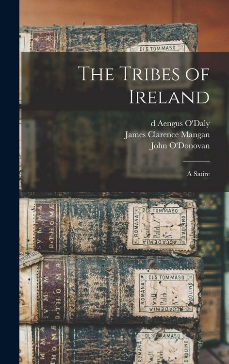 Produktbild: The Tribes of Ireland