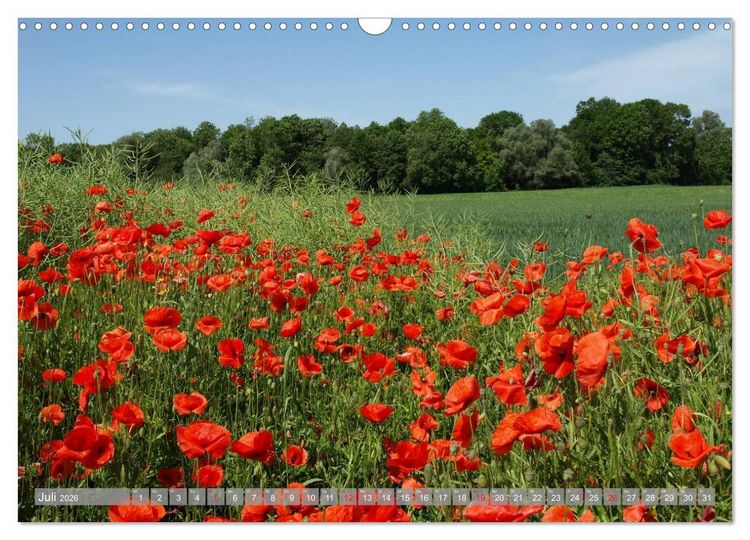 Produktbild: Bezauberndes Ampertal bei Moosburg (Wandkalender 2026 DIN A3 quer), CALVENDO Monatskalender