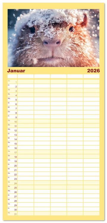 Produktbild: Familienplaner 2026 - Capybara Zeit mit 5 Spalten (Wandkalender, 21 x 45 cm) CALVENDO
