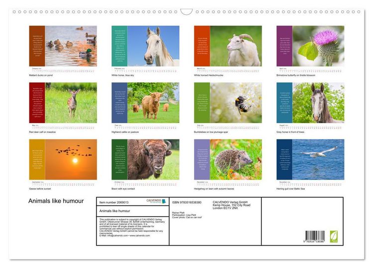 Produktbild: Animals like humour (Wall Calendar 2026 DIN A2 landscape), CALVENDO 12 Month Wall Calendar
