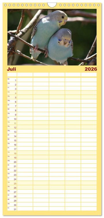Produktbild: Familienplaner 2026 - Wellensittiche - Gefiederte Freunde mit 5 Spalten (Wandkalender, 21 x 45 cm) CALVENDO