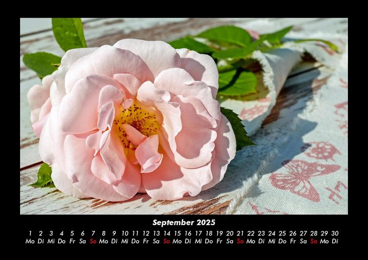 Produktbild: Blumentraum 2025 Fotokalender DIN A3