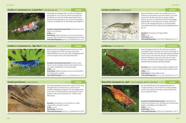 Produktbild: Nano-S&uuml;&szlig;wasseraquarien