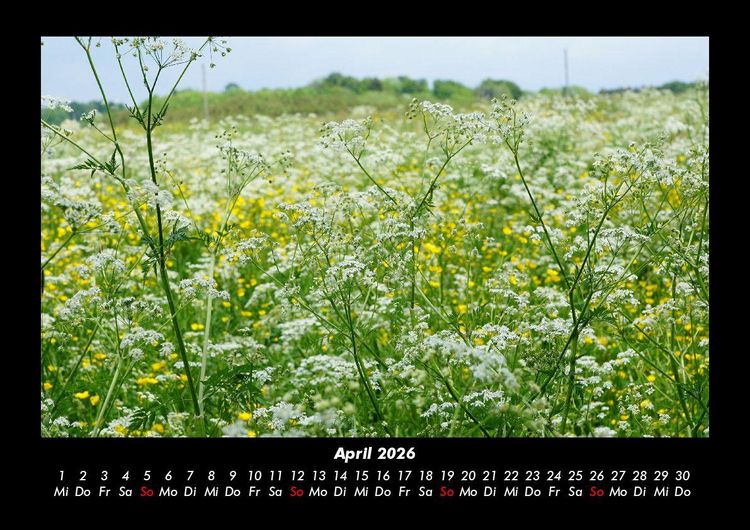 Produktbild: Blumentr&auml;ume 2026 Fotokalender DIN A3
