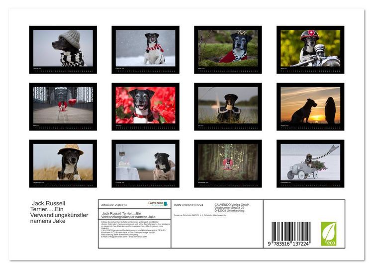 Produktbild: Jack Russell Terrier.....Ein Verwandlungsk&uuml;nstler namens Jake (Wandkalender 2026 DIN A4 quer), CALVENDO Monatskalender