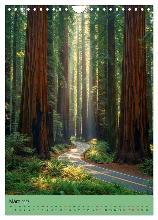 Produktbild: Sequoia Giganten (Wandkalender 2027 DIN A4 hoch), CALVENDO Monatskalender