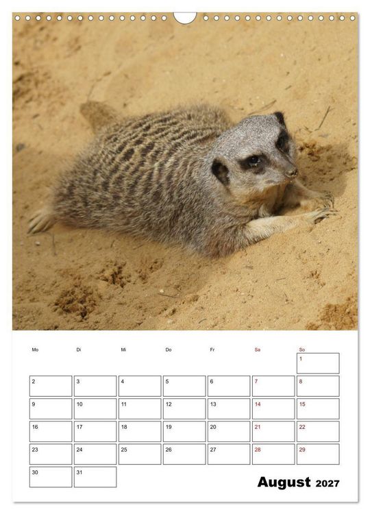 Produktbild: Niedliche Erdm&auml;nnchen (Wandkalender 2027 DIN A3 hoch), CALVENDO Monatskalender