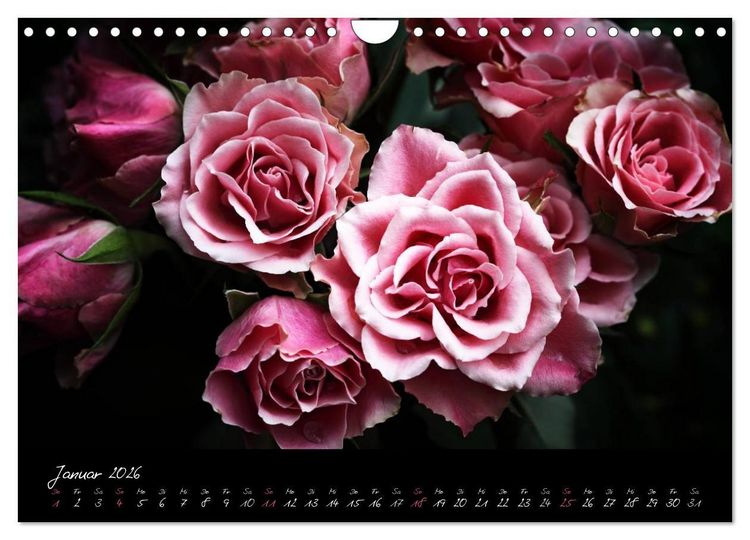 Produktbild: Florales Sonett - Visuelle Musik der Blumen (Wandkalender 2026 DIN A4 quer), CALVENDO Monatskalender