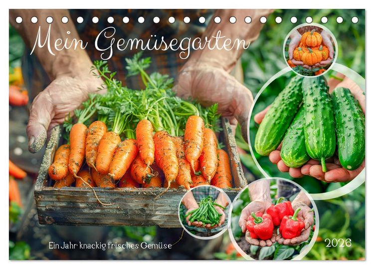Produktbild: Mein Gem&uuml;segarten - Ein Jahr knackig frisches Gem&uuml;se (Tischkalender 2026 DIN A5 quer), CALVENDO Monatskalender