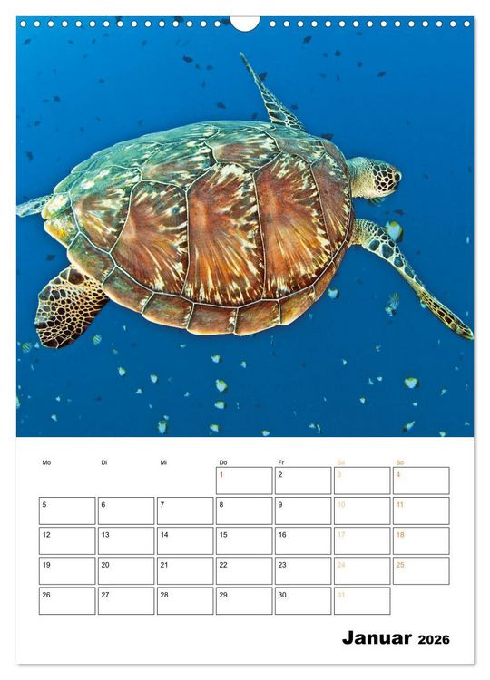 Produktbild: Wunderbare Wasserwelt der Meeresschildkr&ouml;ten (Wandkalender 2026 DIN A3 hoch), CALVENDO Monatskalender
