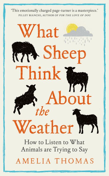 Produktbild: What Sheep Think About the Weather