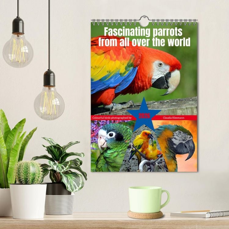 Produktbild: Fascinating parrots from all over the world (Wall Calendar 2026 DIN A4 portrait), CALVENDO 12 Month Wall Calendar