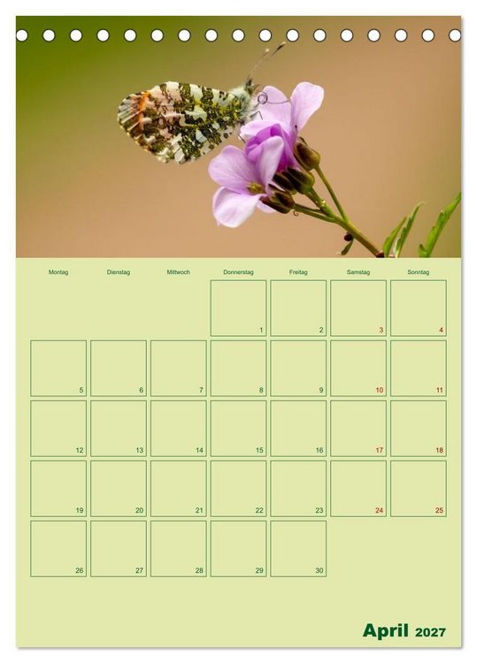 Produktbild: Die Welt der Insekten (Tischkalender 2027 DIN A5 hoch), CALVENDO Monatskalender