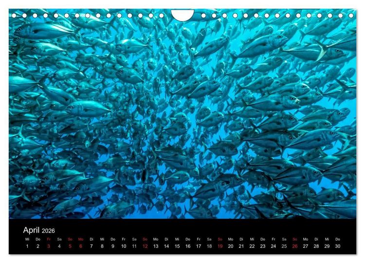Produktbild: Philippinen - Natur und Fiesta (Wandkalender 2026 DIN A4 quer), CALVENDO Monatskalender