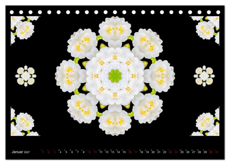 Produktbild: ROSEN MANDALAS (Tischkalender 2027 DIN A5 quer), CALVENDO Monatskalender