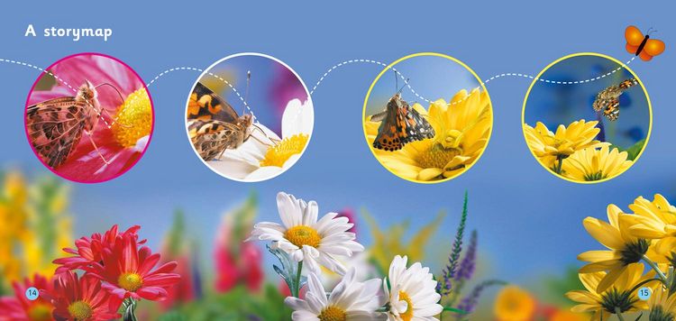 Produktbild: Look Out Butterfly!
