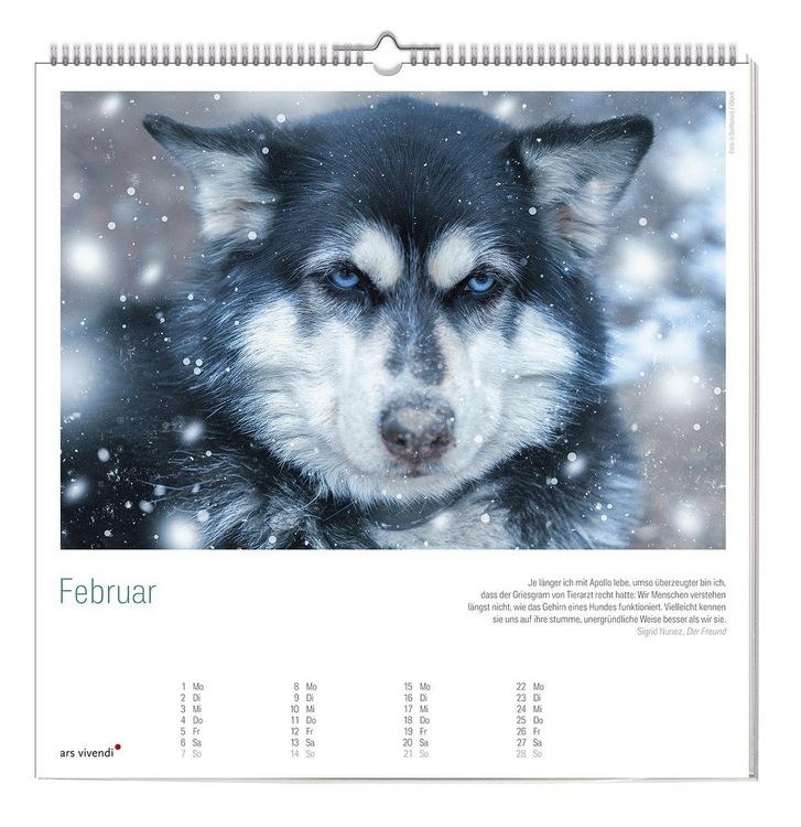 Produktbild: Der gro&szlig;e literarische Hunde Kalender 2027