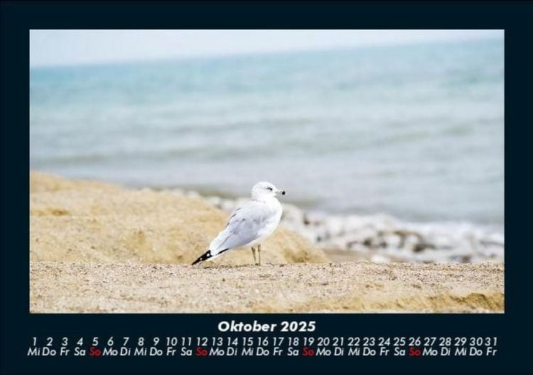 Produktbild: Meereslandschaft 2025 Fotokalender DIN A5