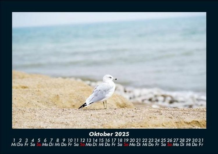 Produktbild: Meereslandschaft 2025 Fotokalender DIN A5