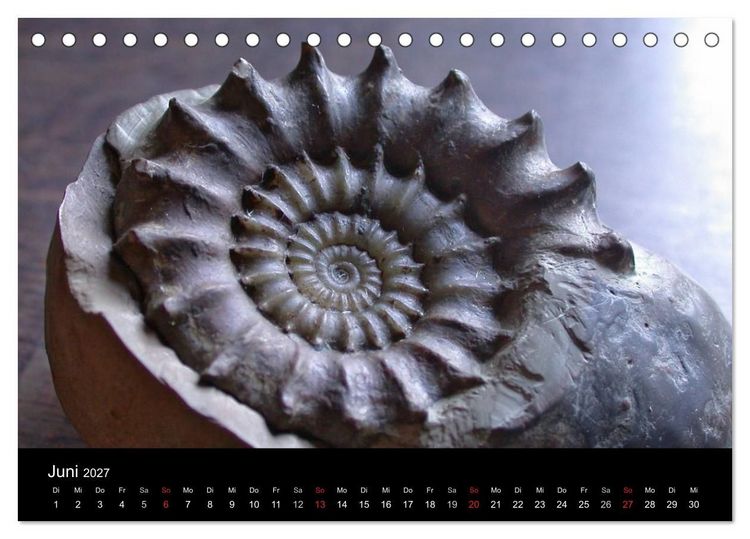 Produktbild: Fossilien - Zeugen der Urzeit (Tischkalender 2027 DIN A5 quer), CALVENDO Monatskalender