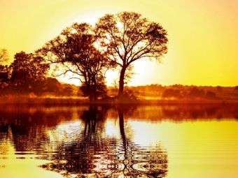 Produktbild: CALVENDO Puzzle Morgens in Afrika | 1000 Teile Lege-Gr&ouml;&szlig;e 64x48cm Foto-Puzzle f&uuml;r gl&uuml;ckliche Stunden