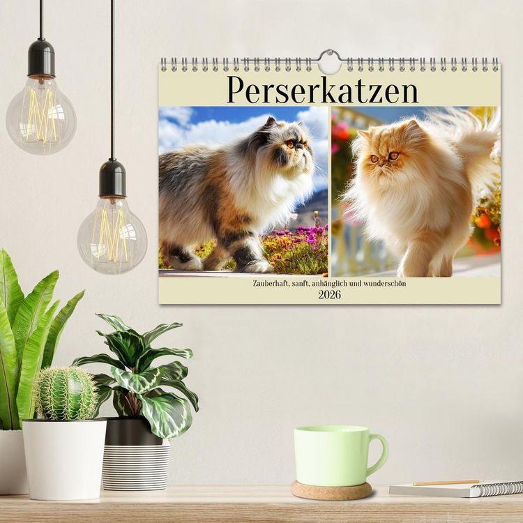 Produktbild: Perserkatzen. Zauberhaft, sanft, anh&auml;nglich und wundersch&ouml;n (Wandkalender 2026 DIN A4 quer), CALVENDO Monatskalender