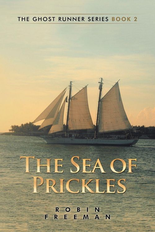 Produktbild: The Sea of Prickles