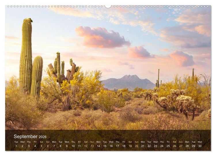 Produktbild: USA the wonderful Southwest (Wall Calendar 2026 DIN A2 landscape), CALVENDO 12 Month Wall Calendar