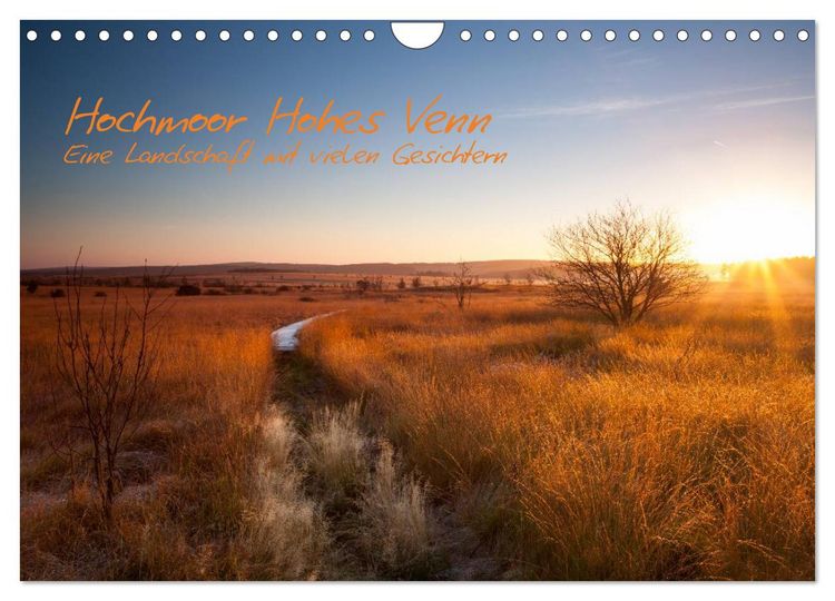 Produktbild: Hochmoor Hohes Venn (Wandkalender 2026 DIN A4 quer), CALVENDO Monatskalender